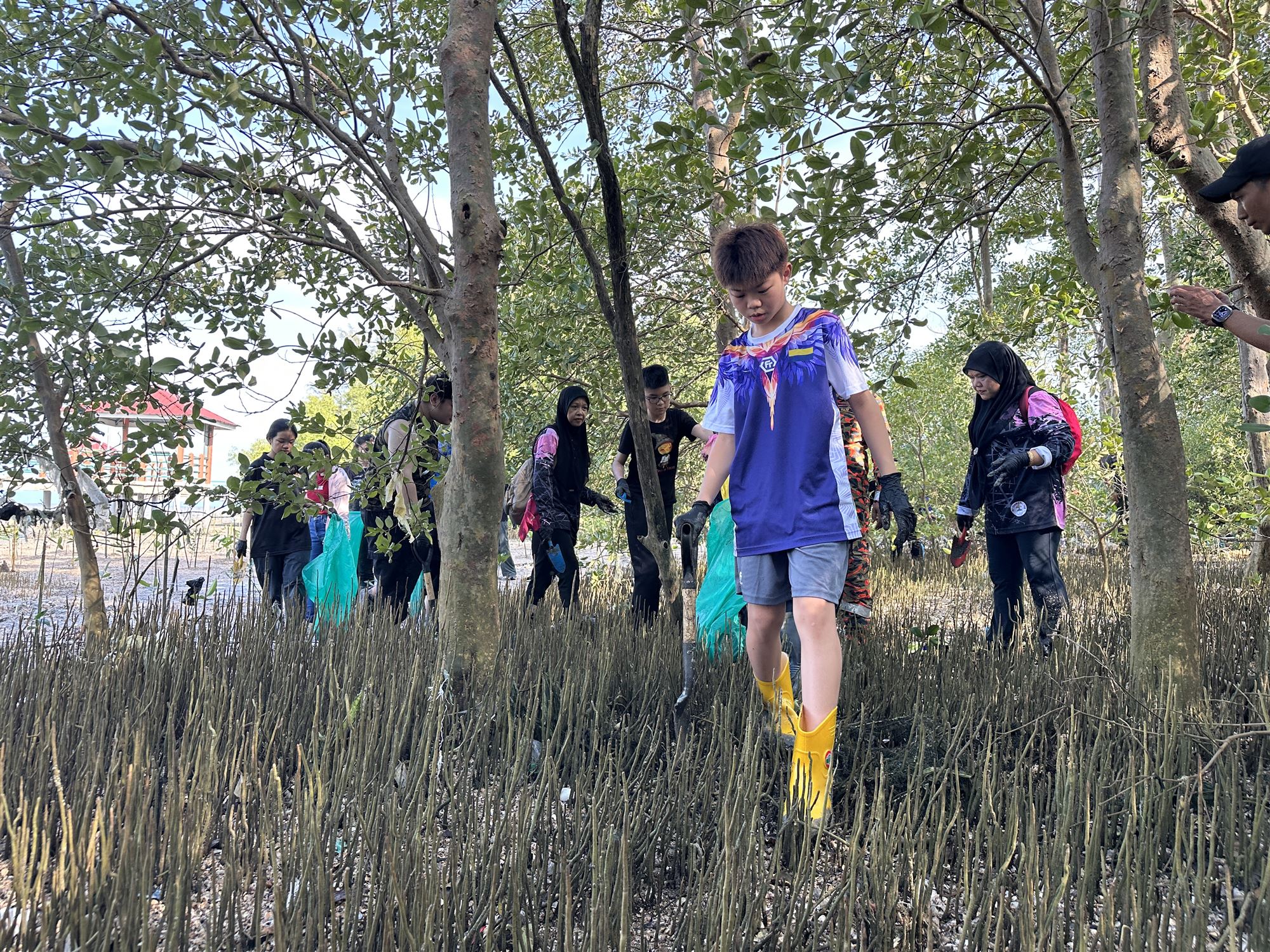 Participants walking through the KomaLaut mangrove site in Kuala Perlis